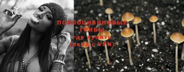 марки lsd Корсаков