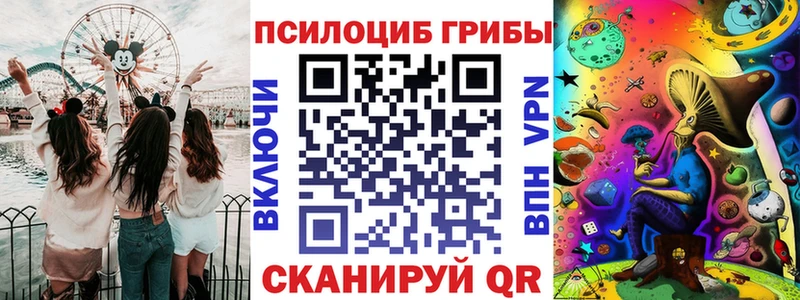 Галлюциногенные грибы Psilocybe  Купить где  Чехов 